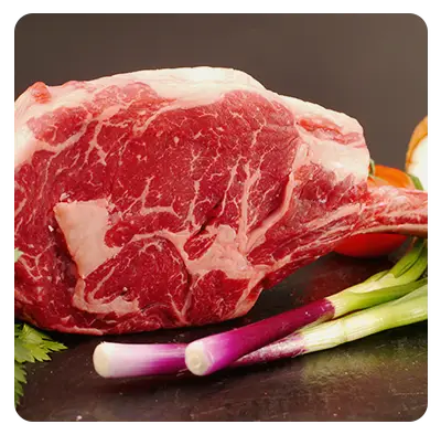 Rechteck 3 Kopie 19 (2)