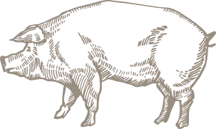 Vektor-Smartobjekt (6)