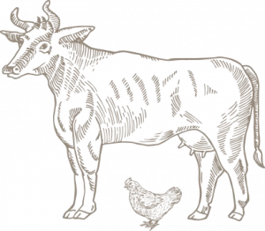 Vektor-Smartobjekt (7)