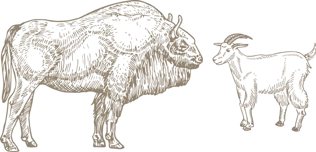 Vektor-Smartobjekt (8)