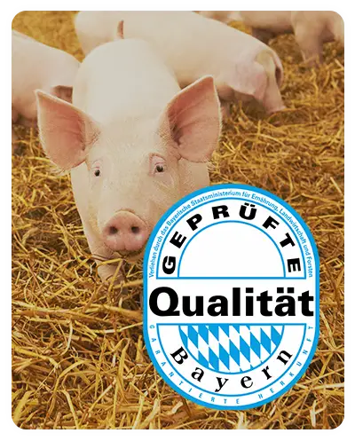 nur bei Stohschwein GQ Bayern gross PNG (1)